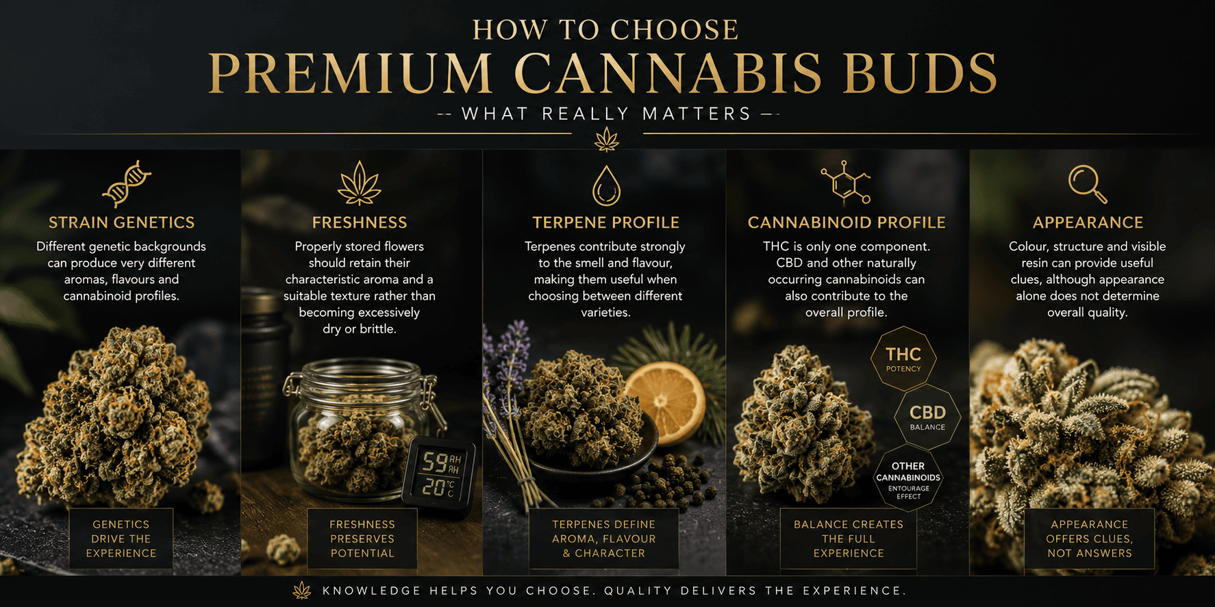 Buy Weed Buds online в Испании Buy Weed Buds online в Испании