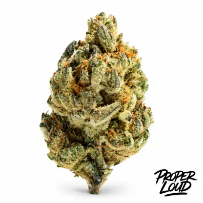 Gelato