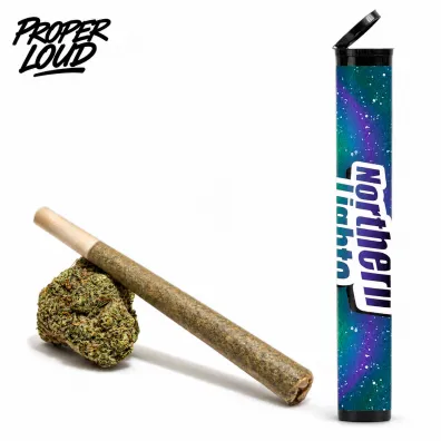 Northern Lights