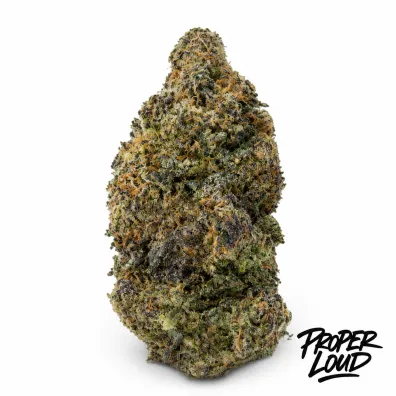 Stardawg