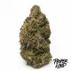 Stardawg