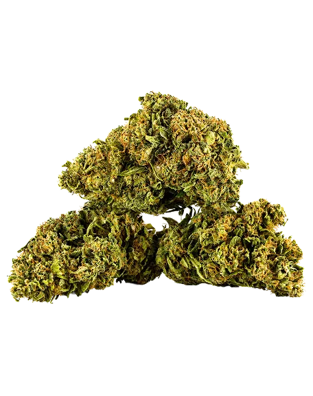 Weed Buds