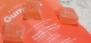 Buying Cannabis Edibles Through Telegram Groups - How Safe Are They?