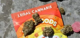 THC Edibles vs CBD Edibles: What's Actually the Difference