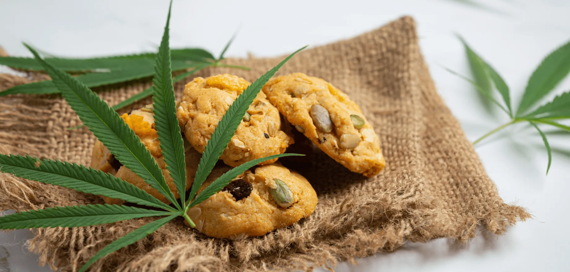 How to make cannabis Edibles – everything you need to get started