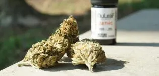 What THC Oil Is Actually Used in UK Vapes?