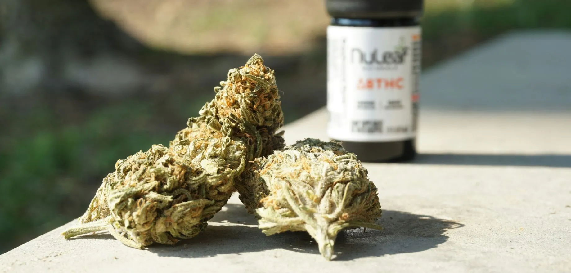 What THC Oil Is Actually Used in UK Vapes?