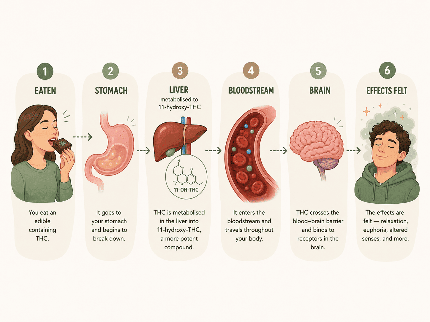 How do cannabis edibles function when compared to inhaled products How do cannabis edibles function when compared to inhaled products